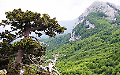 Foreste vetuste, parte la mappatura in Basilicata: primi rilievi in Pollino e Appennino Lucano