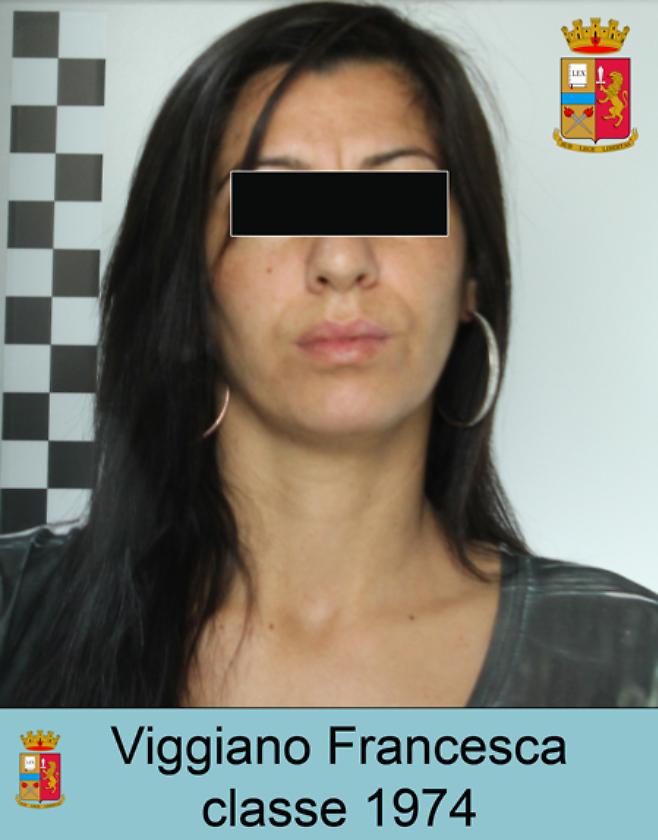francesca viggiano