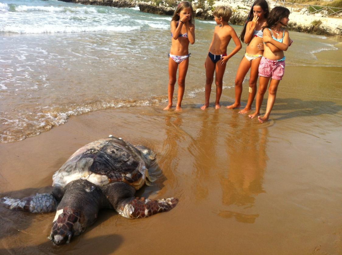 La tartaruga gigante tra la curiosità dei bambini (Ph. Antonella Caruso)