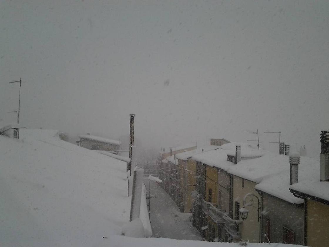 Foto Imma Contella