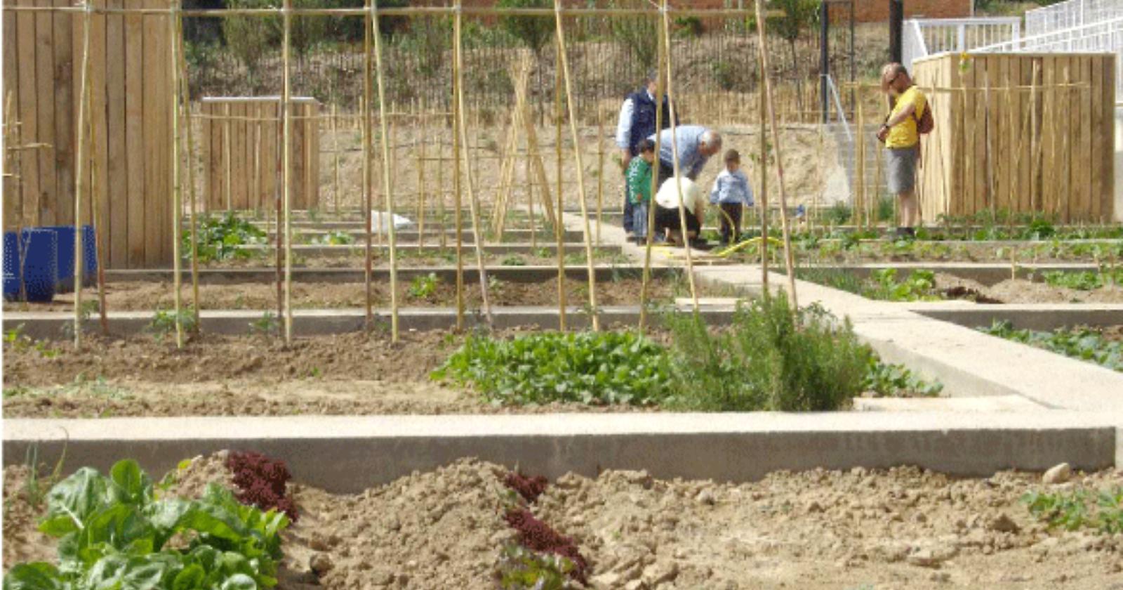 Come ti faccio bello il CEP con 15 orti urbani