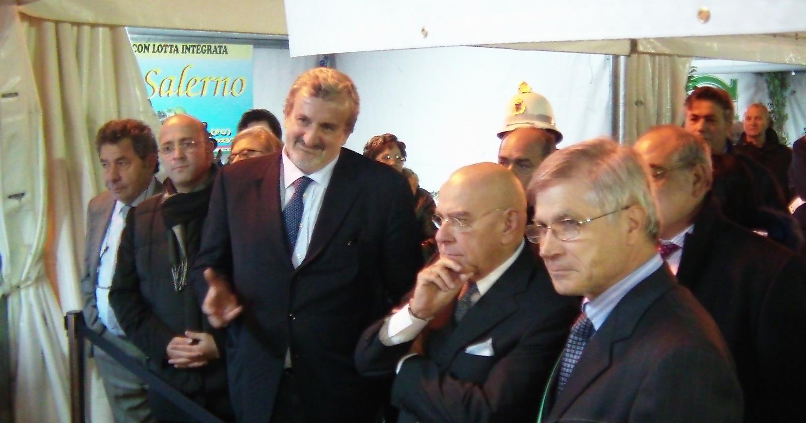 Il carciofo si conferma l'oro verde di San Ferdinando e del Basso Tavoliere. Ora, si pensa a commercializzarlo 'seriamente' 