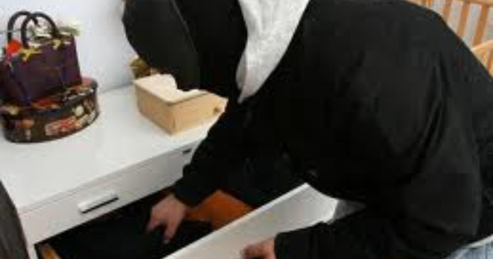 Topi d'appartamento
