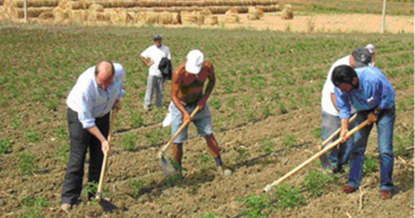 Nuovo contratto per i 46mila lavoratori agricoli della provincia di Foggia