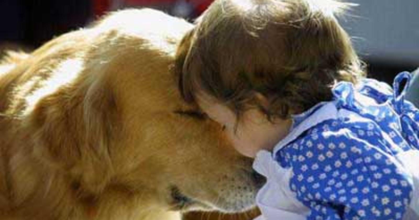 Gli animali curano: provare per credere!