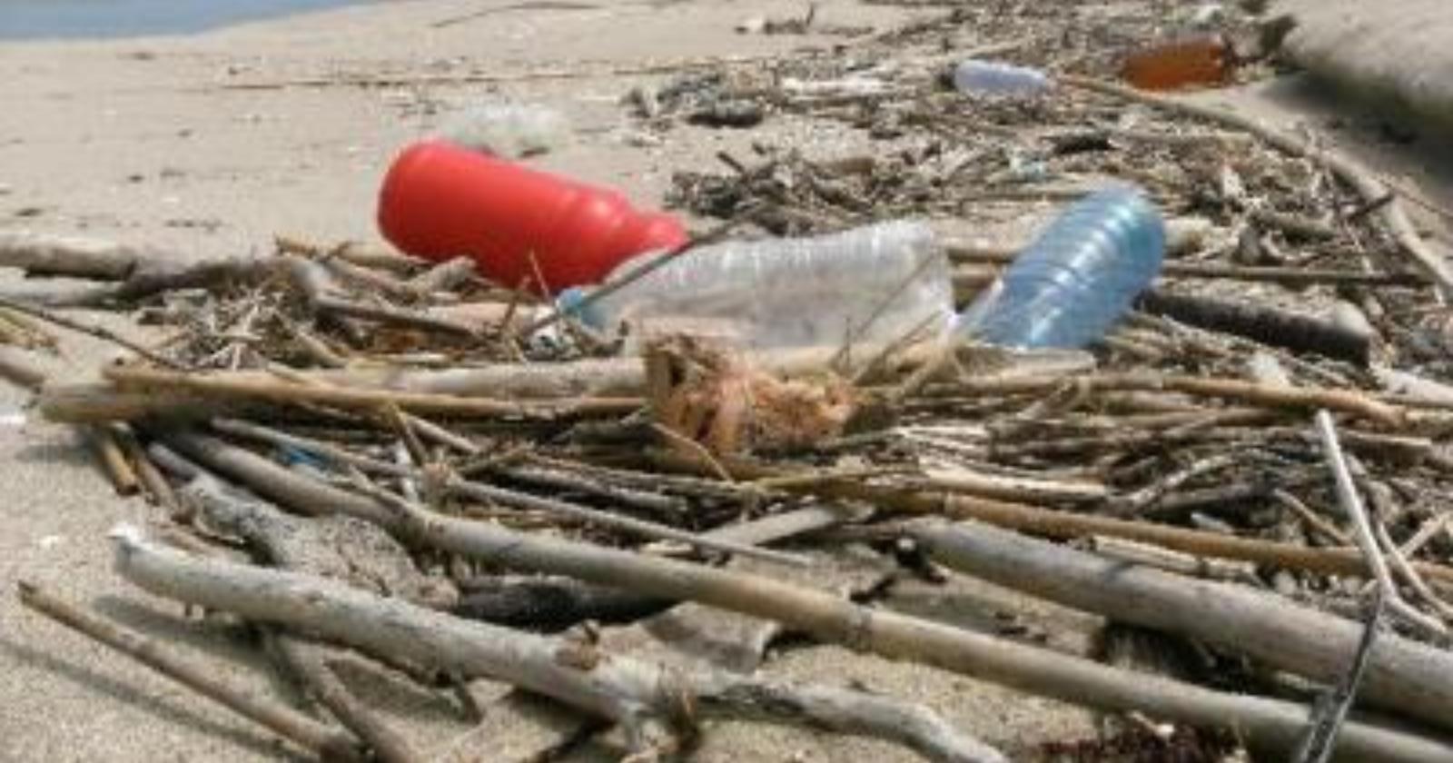 Marina di Chieuti inquinata dai rifiuti