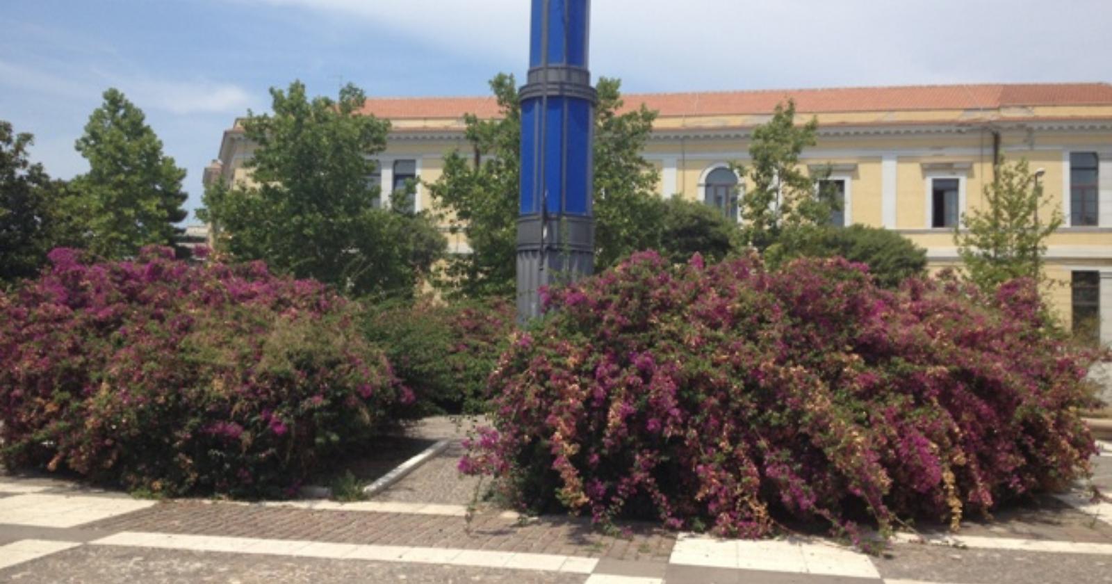 Foggia. Dopo le aggressioni, un arresto in Piazza Italia: questa volta per scippo