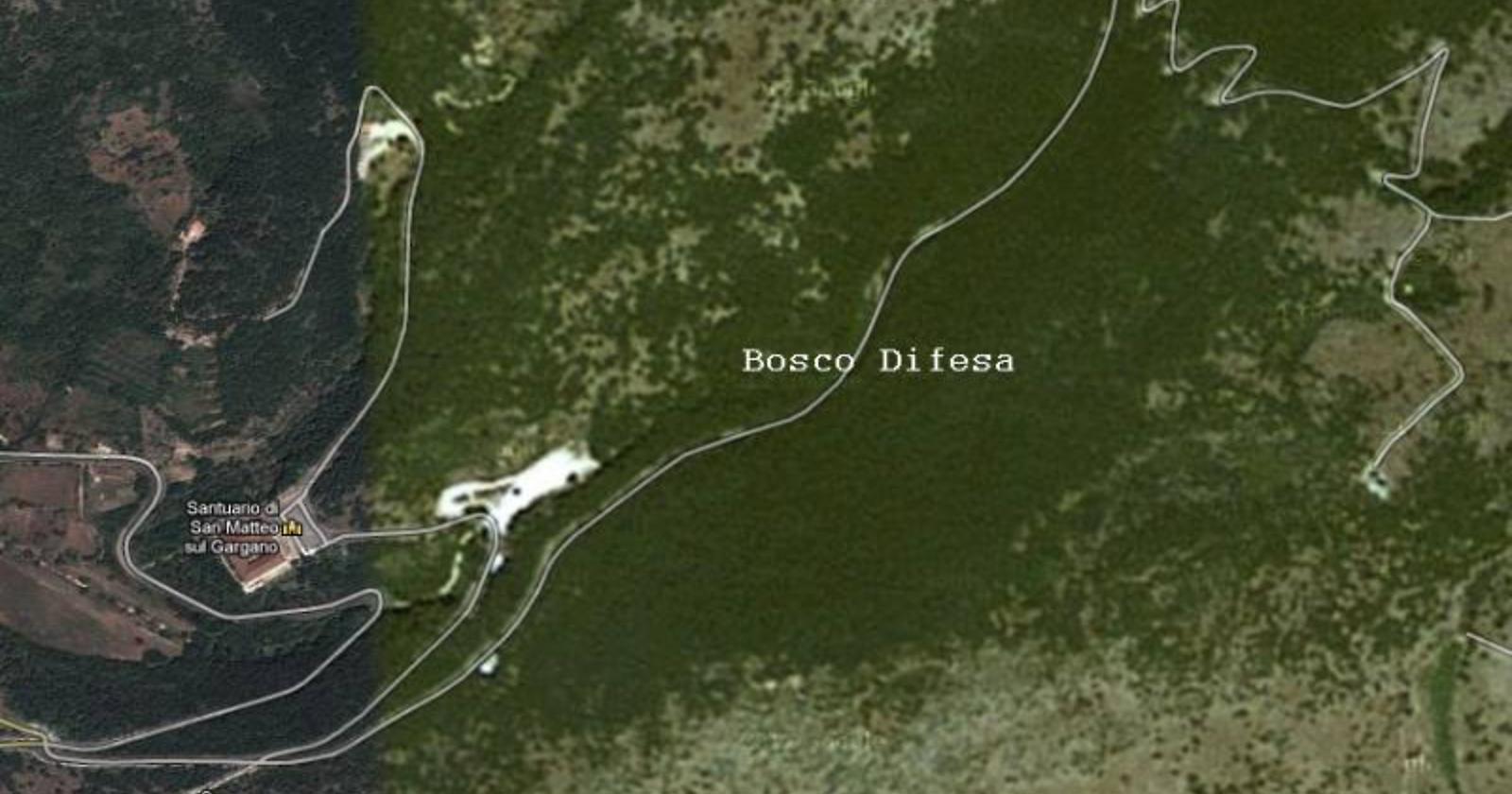 In salvo quattro adolescenti baresi persi nel bosco Difesa di San Marco in Lamis