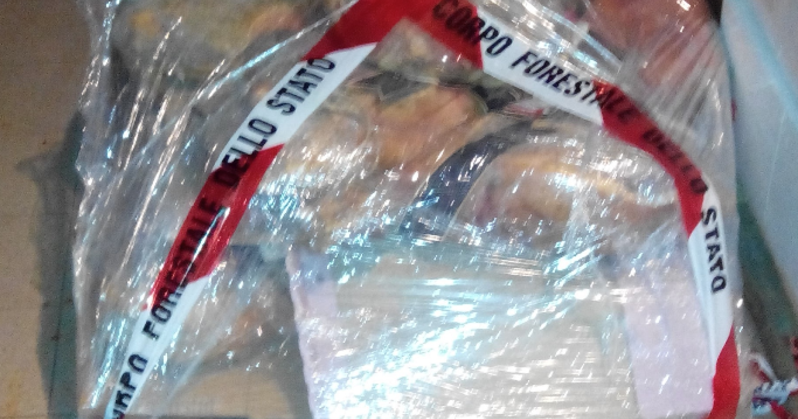 Foggia, controlli nei supermercati e sequestro di prodotti alimentari