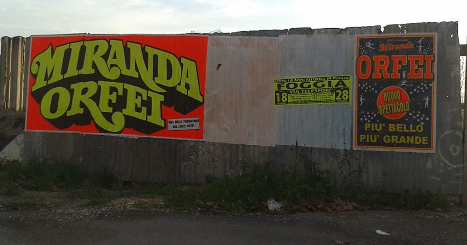 Presidio animalista del circo Miranda-Orfei a Foggia: «Sfrutta gli animali, Mongelli intervenga»