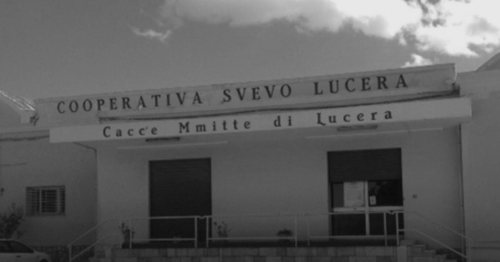 Oggi, 29 marzo 1976, il Cacc'e Mmitt di Lucera diventa Doc