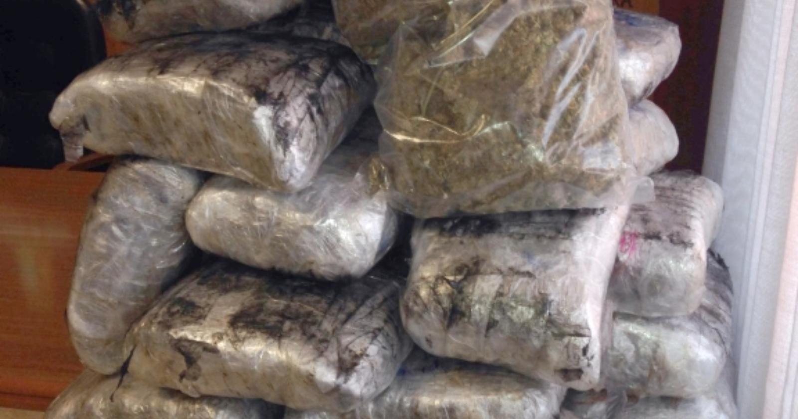 Nella casa di campagna nascondeva 38 kg di marijuana: arrestato 58enne