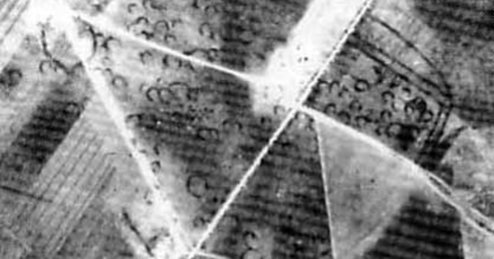 Oggi, 22 Aprile 1949, iniziano gli scavi a Passo di Corvo, il più grande d'Europa