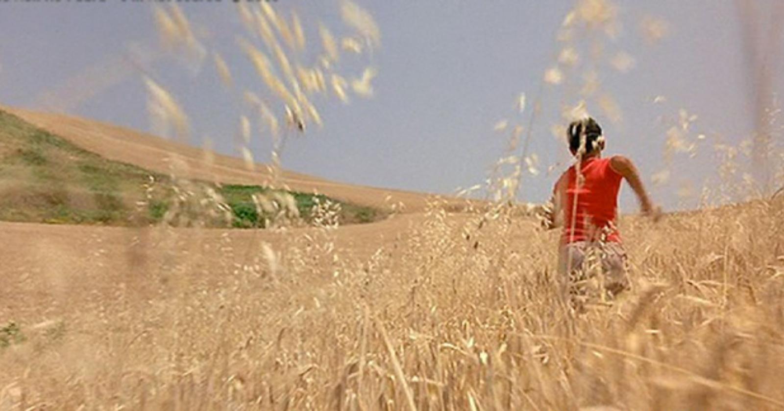Oggi, 27 Aprile 1999, venendo a Foggia Ammaniti s'innamora del grano di Candela: nasce "Io non ho paura"