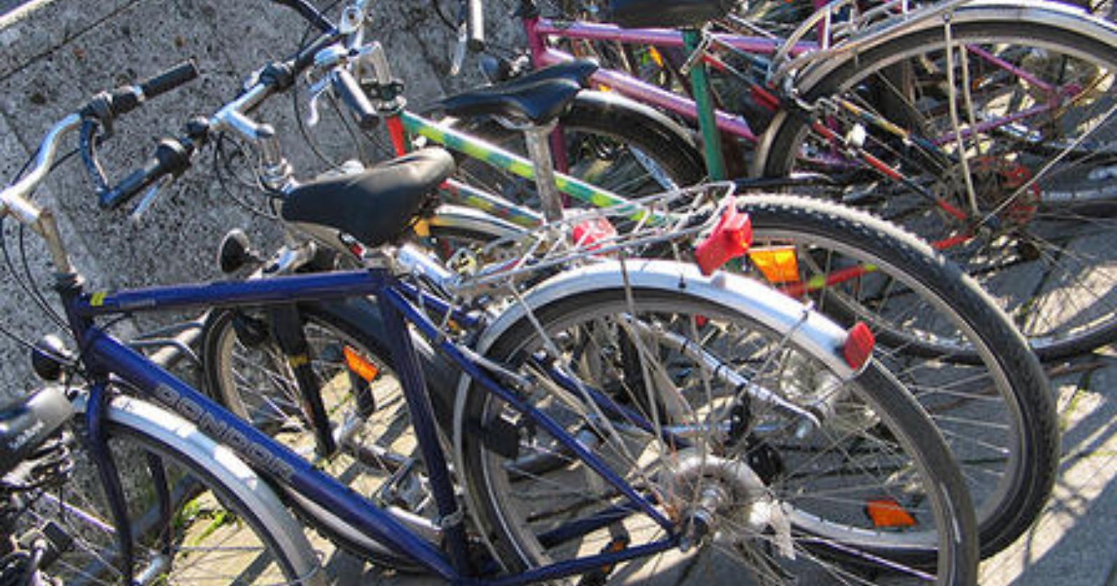Foggia, furto di biciclette: colpo da 10mila euro