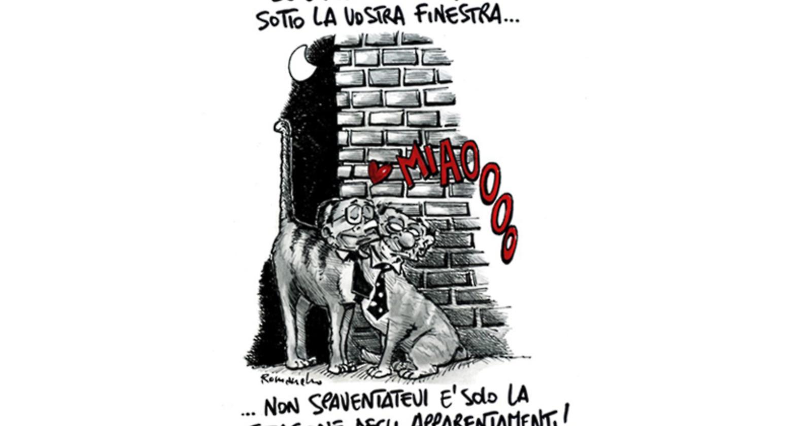 Gattoni di Roberto Romaniello