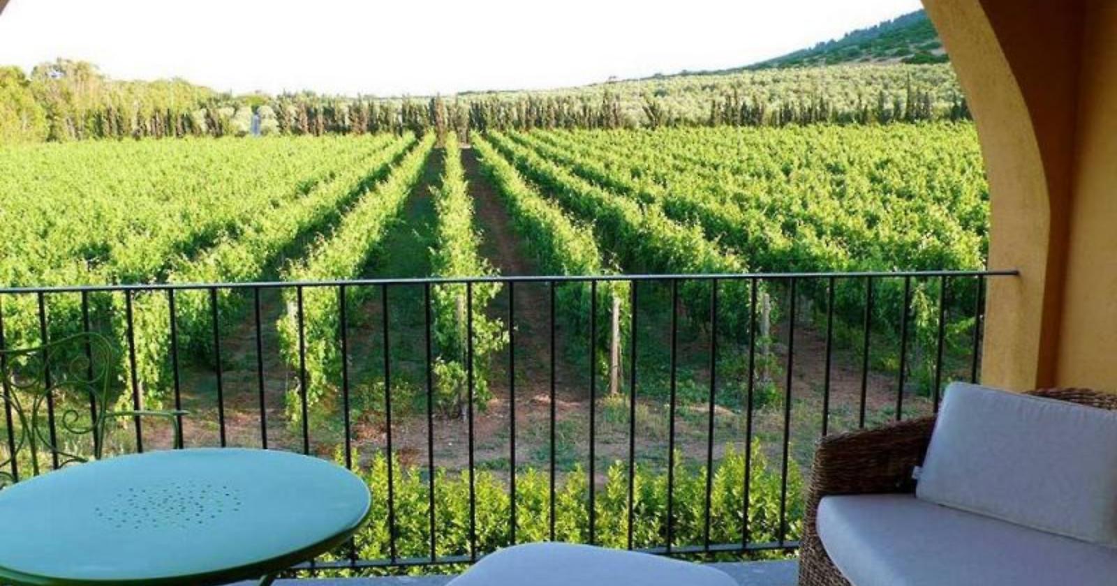 Oggi ricordiamo che nel 1968 i vini di San Severo diventano doc: sono i primi in Capitanata