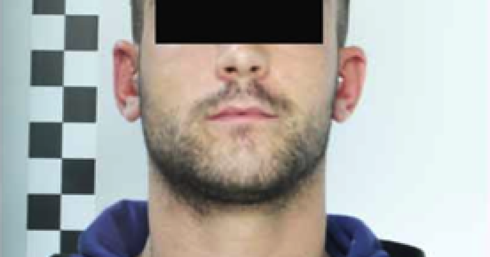 Tentano furto da "Vision Tecnica": arrestata la banda della "spaccata"