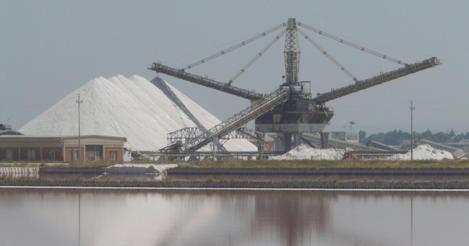Oggi, 30 Maggio 1979, le saline di Margherita sono riconosciute zona umida di valore internazionale