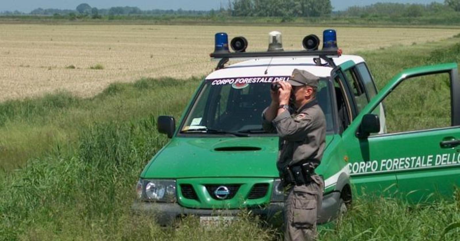 Scoperto a rubare legna nel Parco Nazionale del Gargano: arrestato