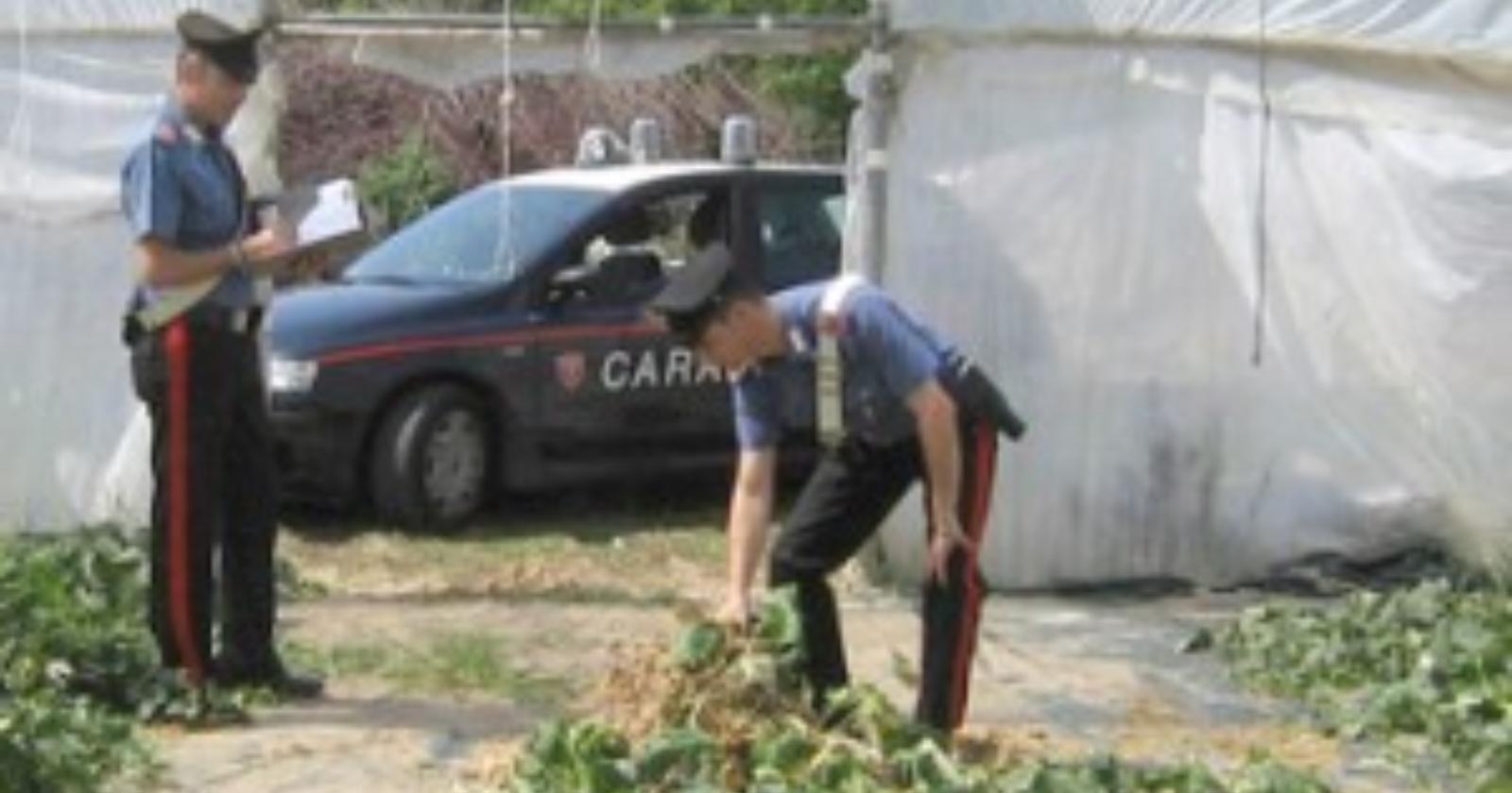 Furti nelle campagne: in Capitanata è allarme