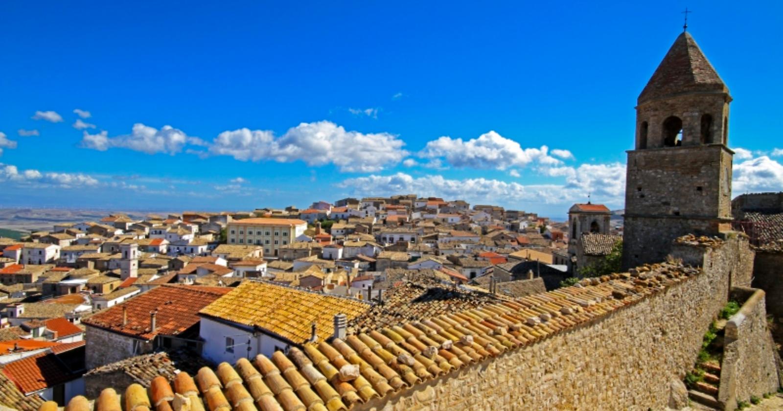 Bovino alle falde del "Kilimangiaro" 
