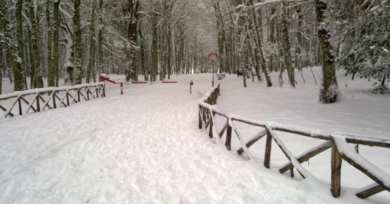 Foresta Umbra innevata
