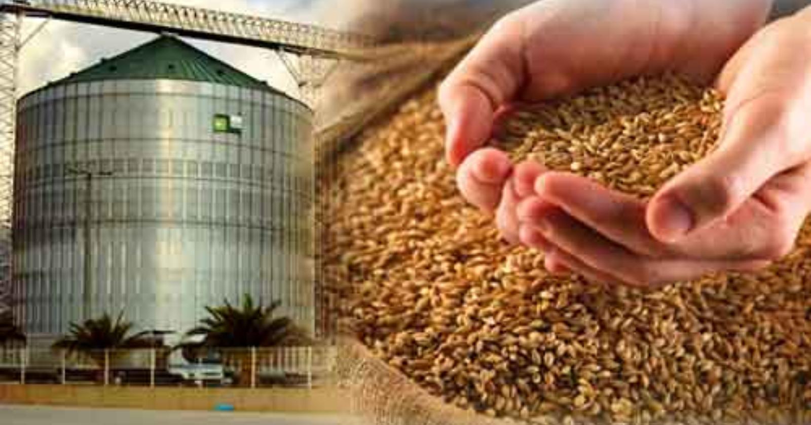 Oggi, 21 gennaio 2013, come Chicago, Foggia diventa centro internazionale per la "Borsa dei future" del grano duro
