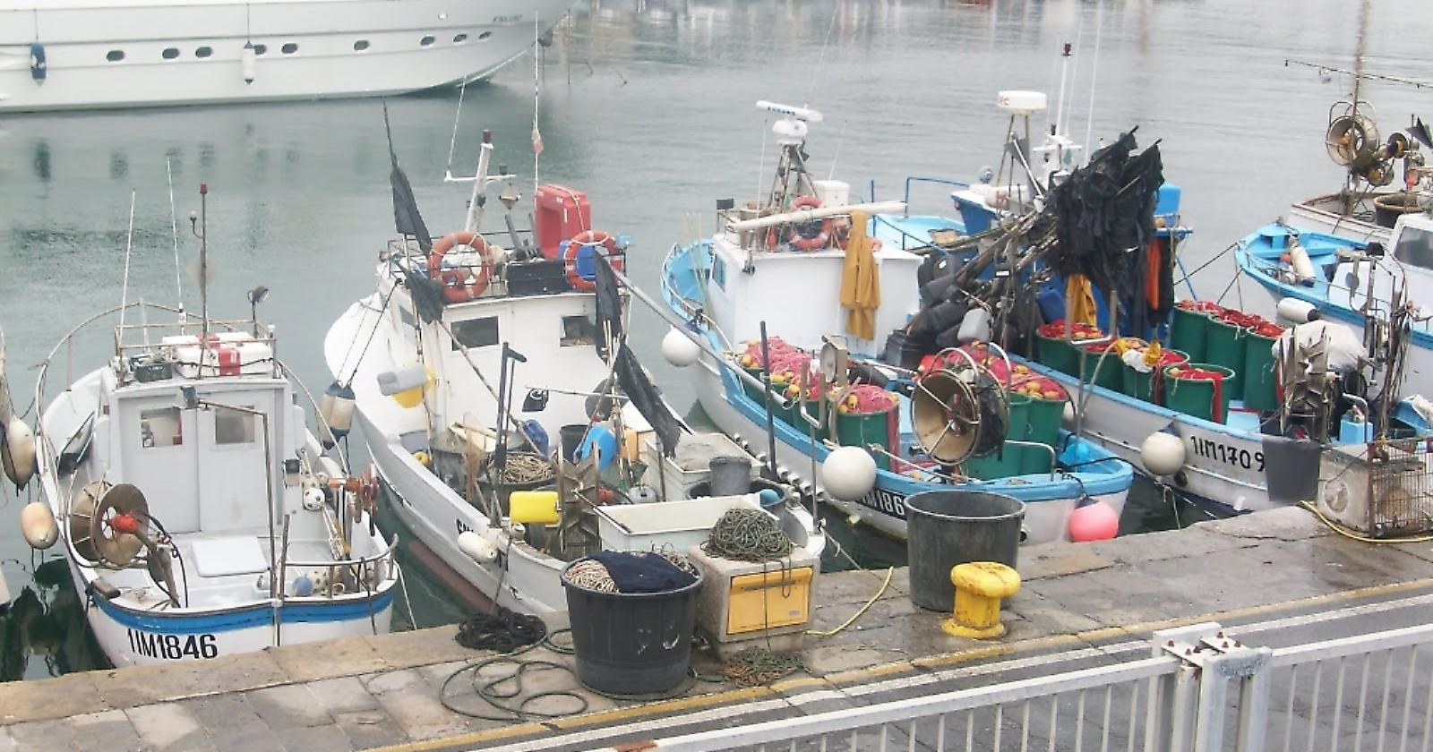 Bordo: «Via libera alla pesca del rossetto»,  i pescatori garganici respirano