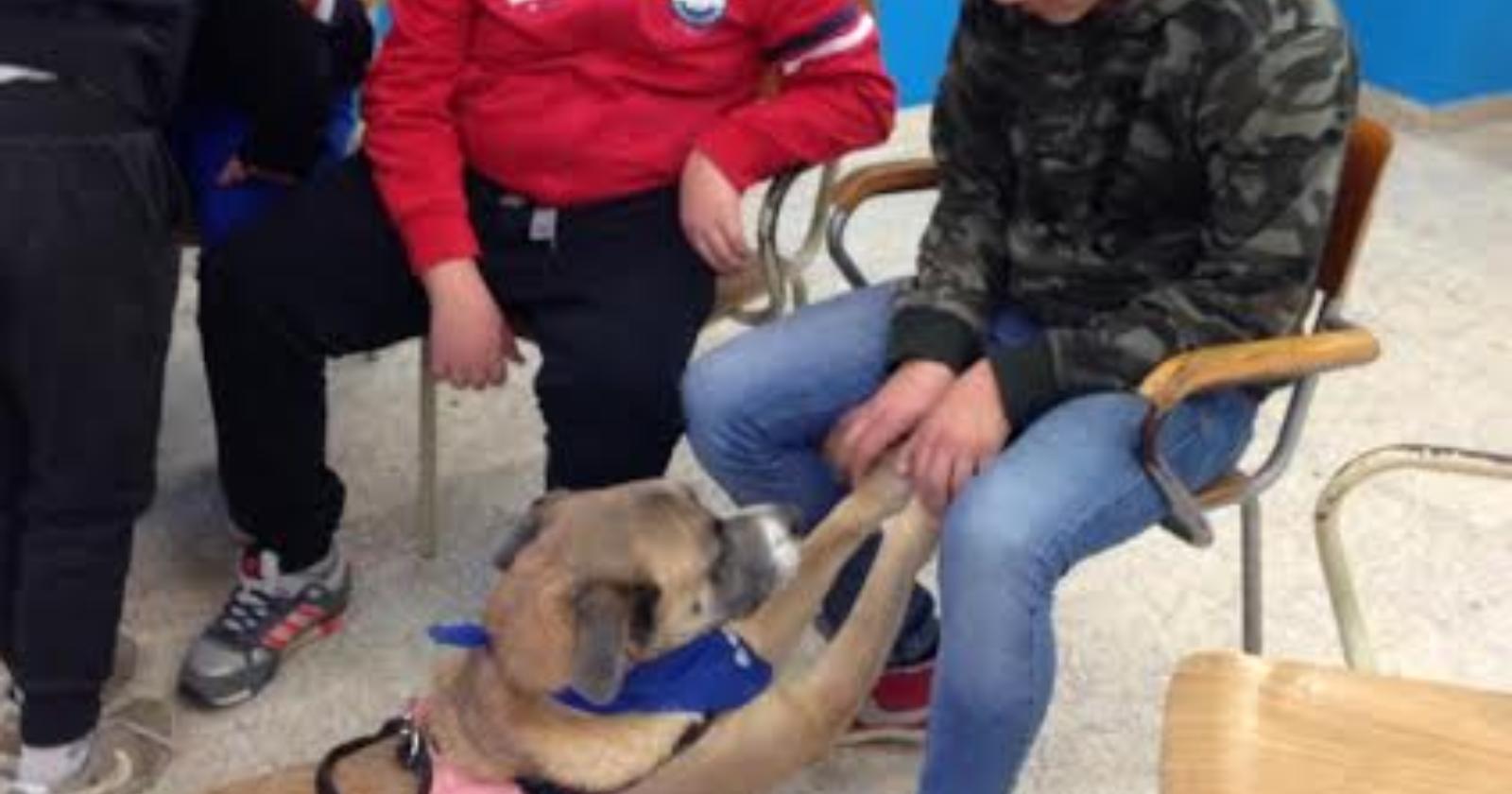 In partenza anche nelle scuole di Foggia la campagna "Anpana" per la lotta al randagismo 