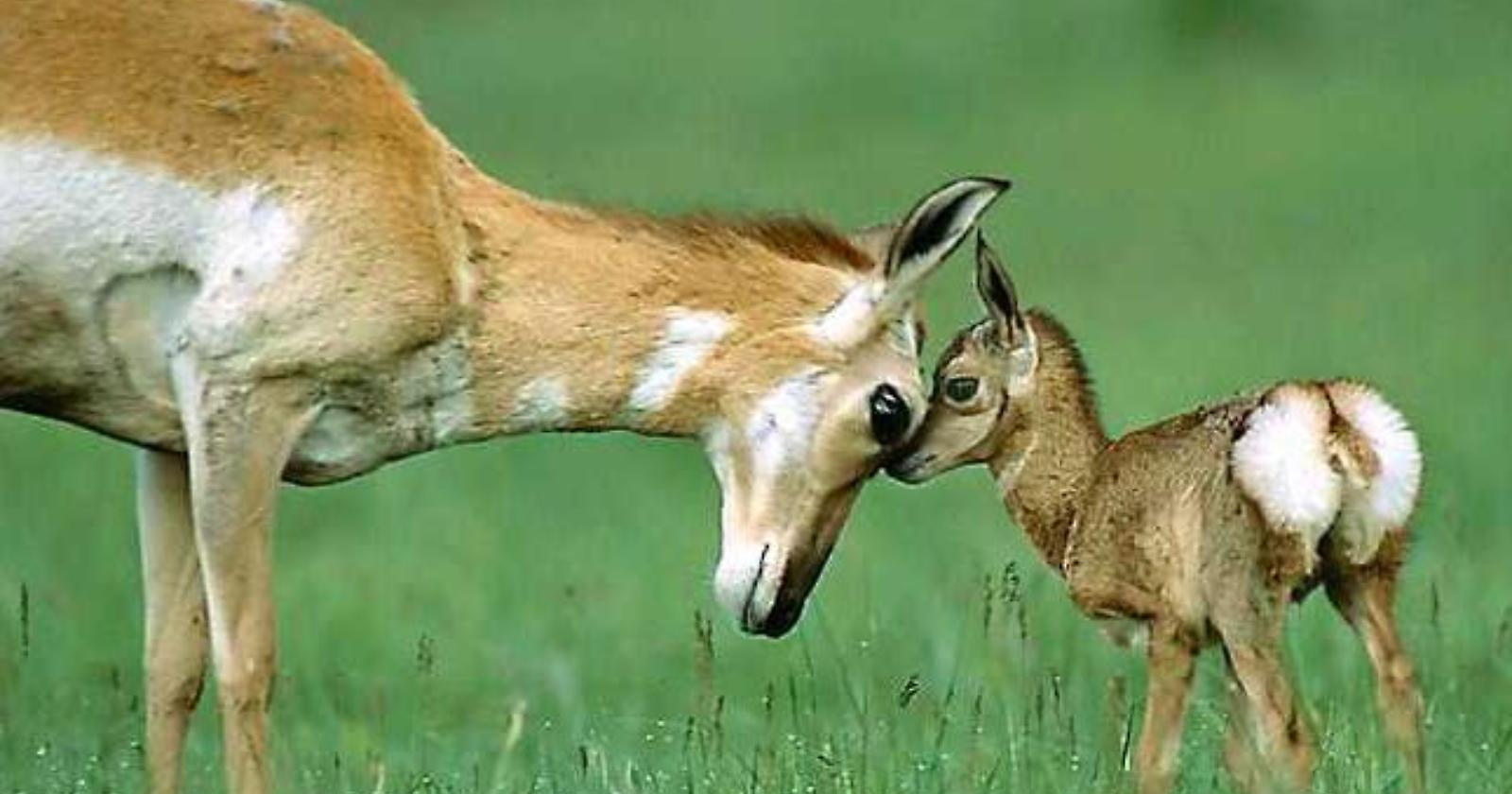 Festa della Mamma? Ma se è un tempo senza scadenze