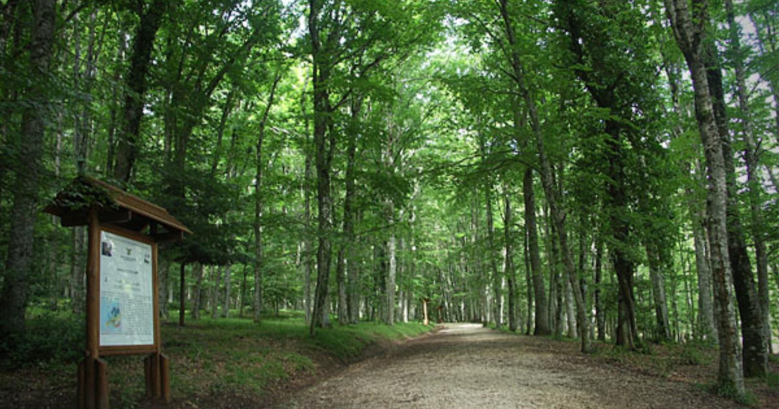 Turismo green? Si può, Aforis ci spiega come