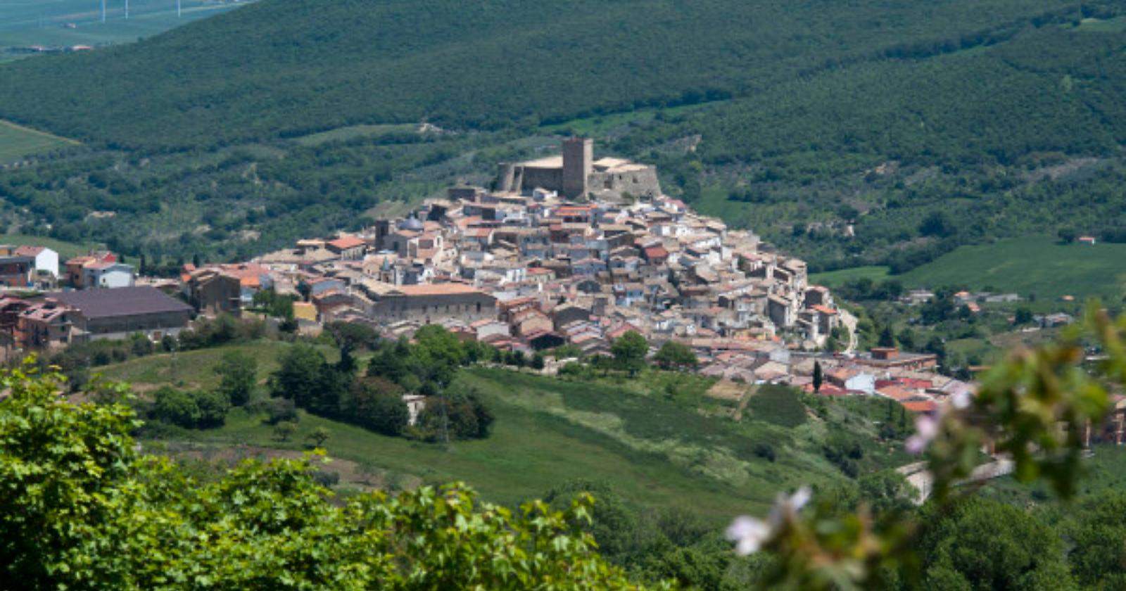 A Deliceto la rivolta delle pecore