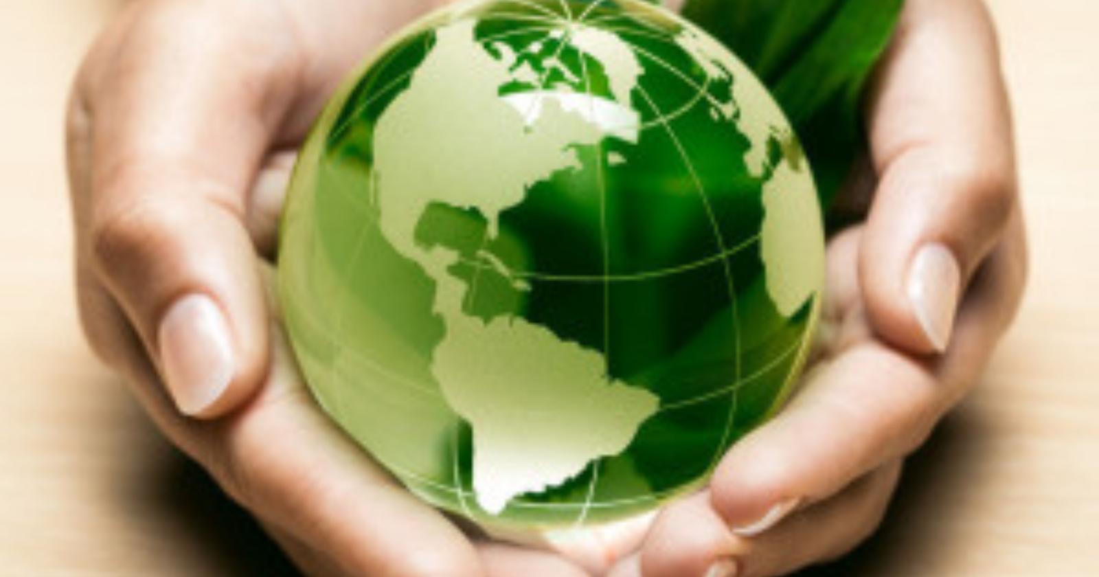 Ad Aforis apre la "Green Education Summer School"
