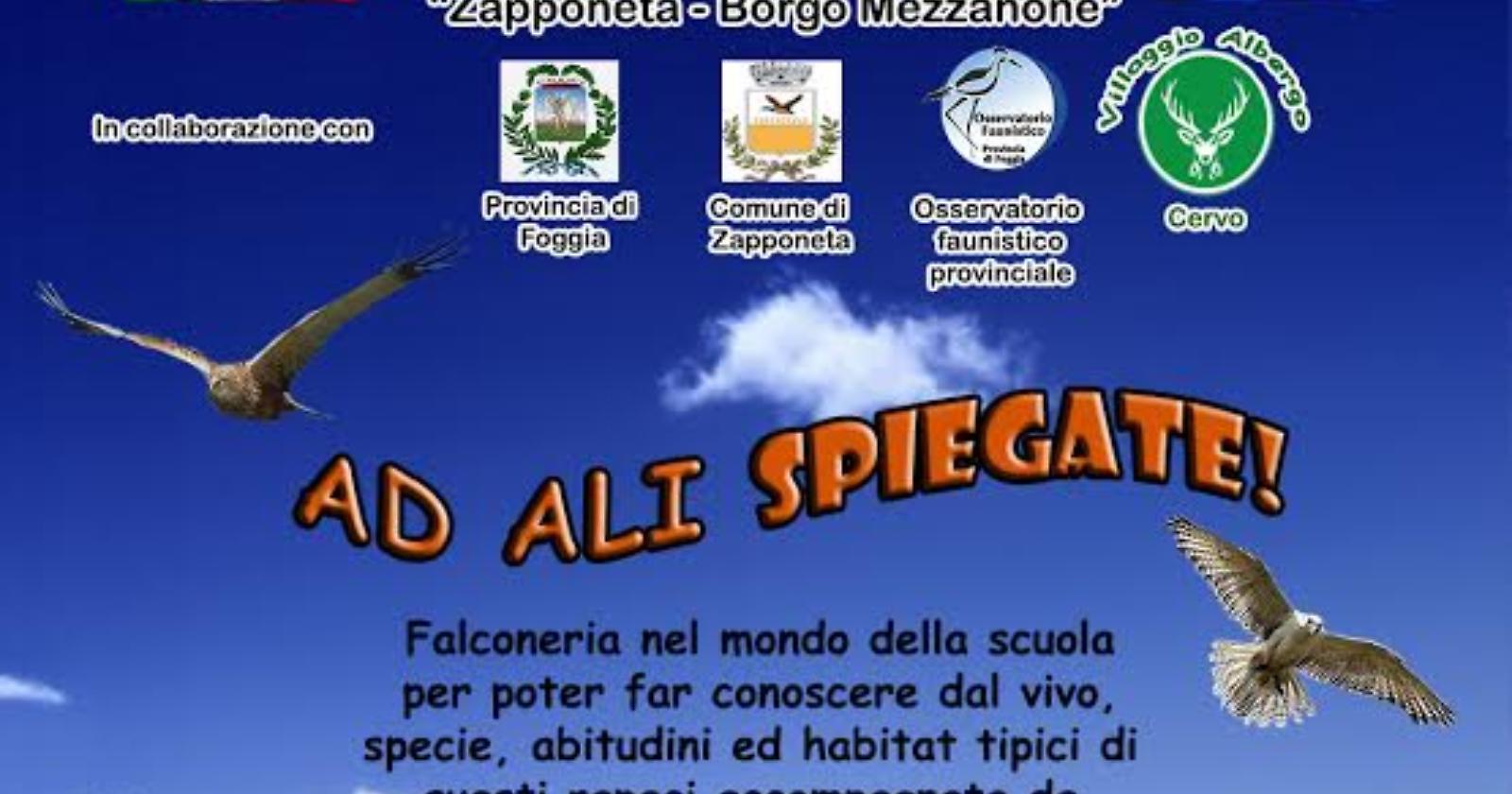 “Ad ali spiegate", così a Zapponeta la scuola si apre al mondo della falconeria
