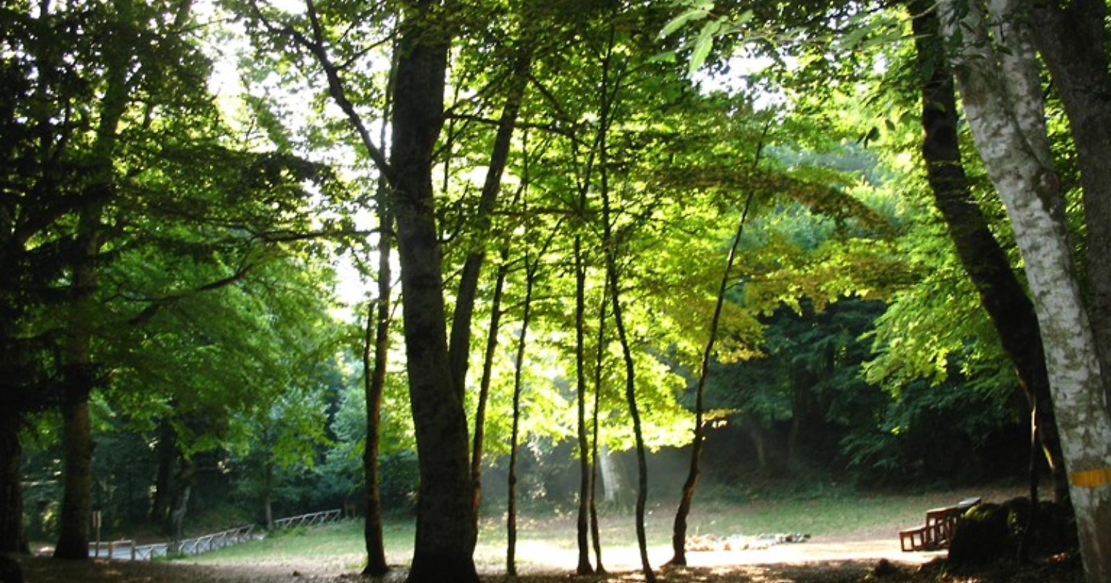 Incontro finale del corso "Guide esclusive del Parco Nazionale del Gargano"