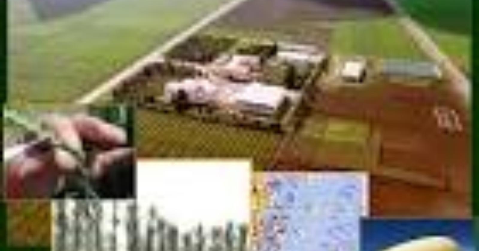 Furto al CRA - rubati nella notte 1500 litri di gasolio agriocolo