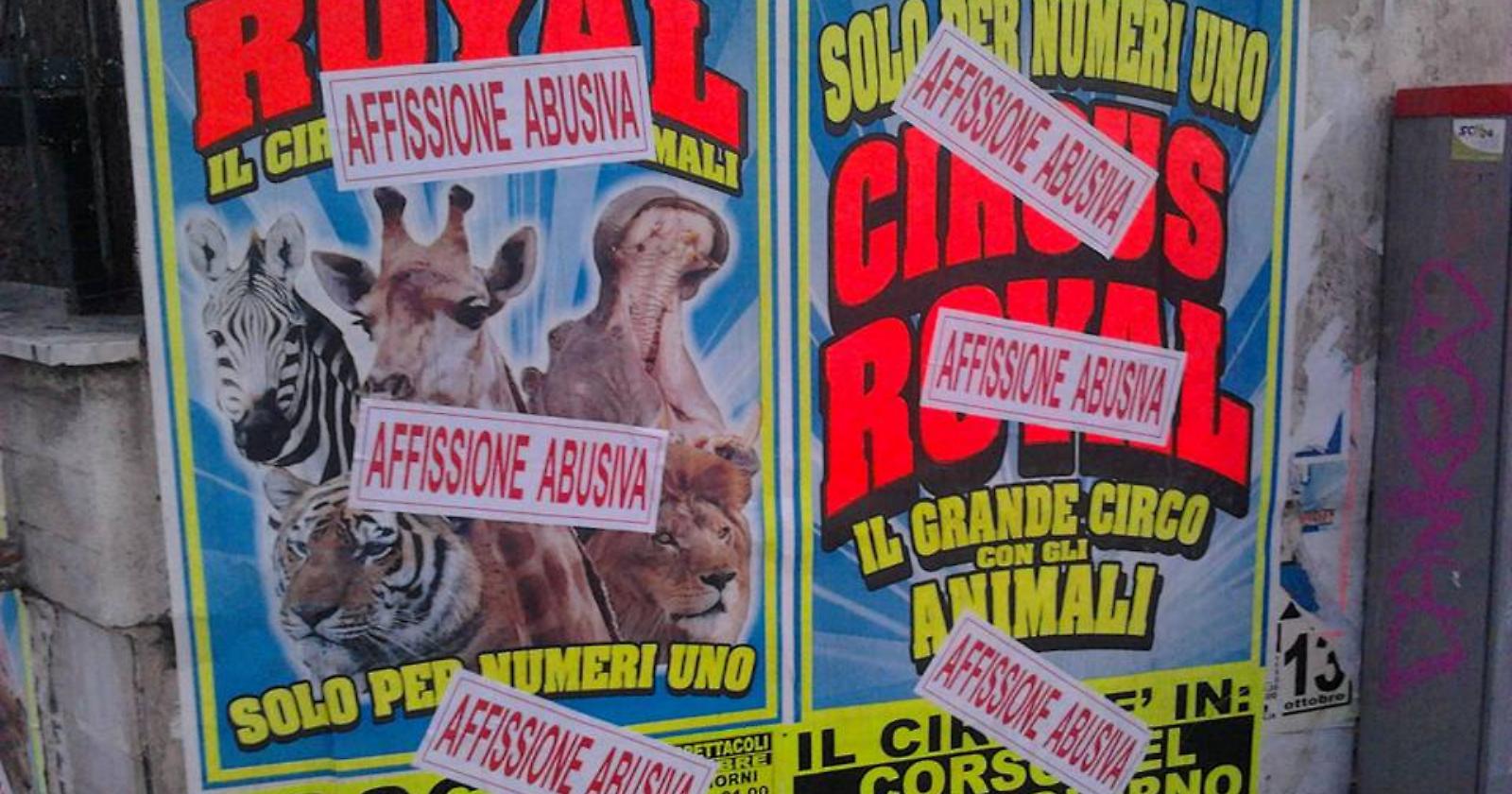 Foggiani, «Non andata a quel circo: gli animali ci soffrono!»