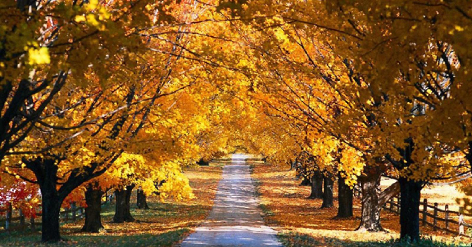 Càpita anche a voi di farvi prendere per mano dall'Autunno?