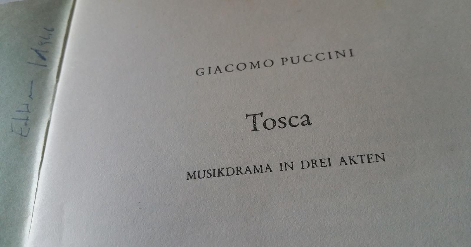 Written in Italy vola ad Algeri
