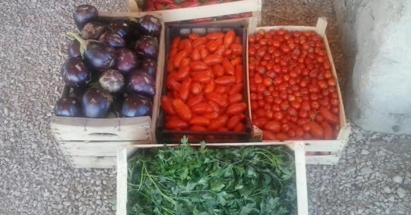 Lo studio di Coldiretti: sempre più lucani tornano negli orti