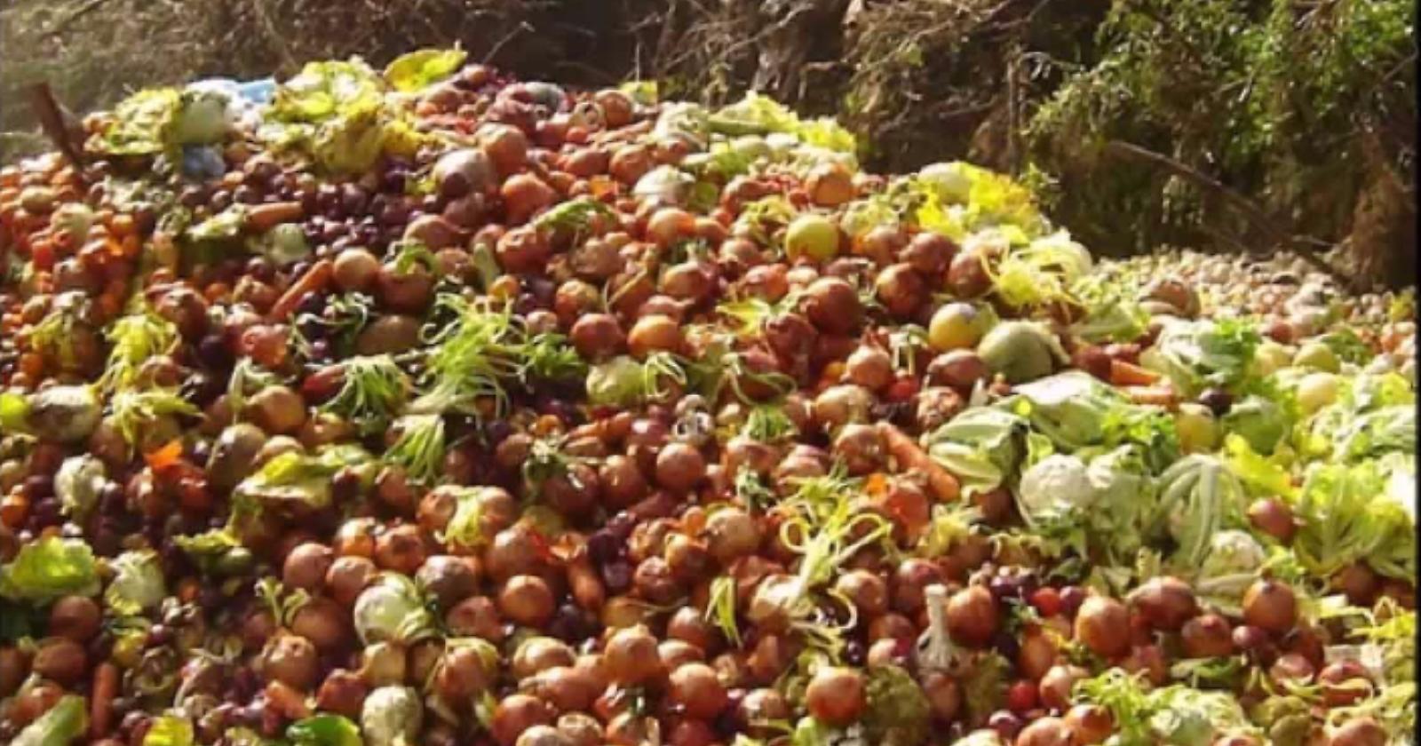 "Nella pancia o nella terra", contro lo spreco alimentare scende in campo Aforis