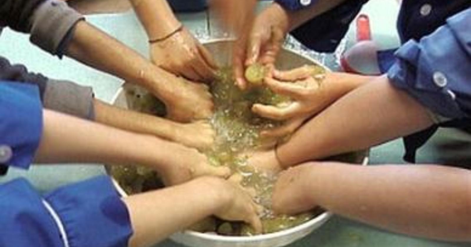 San Severo, a San Martino ogni mosto diventa vino
