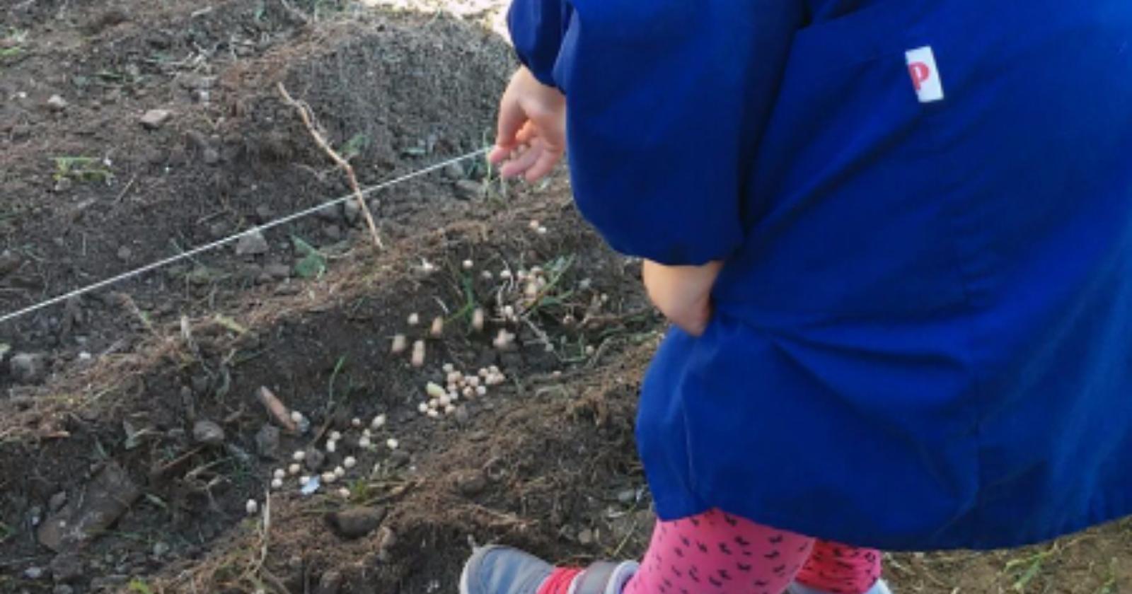 Alla "Fasani" di Lucera le scienze di studiano 'sul campo'