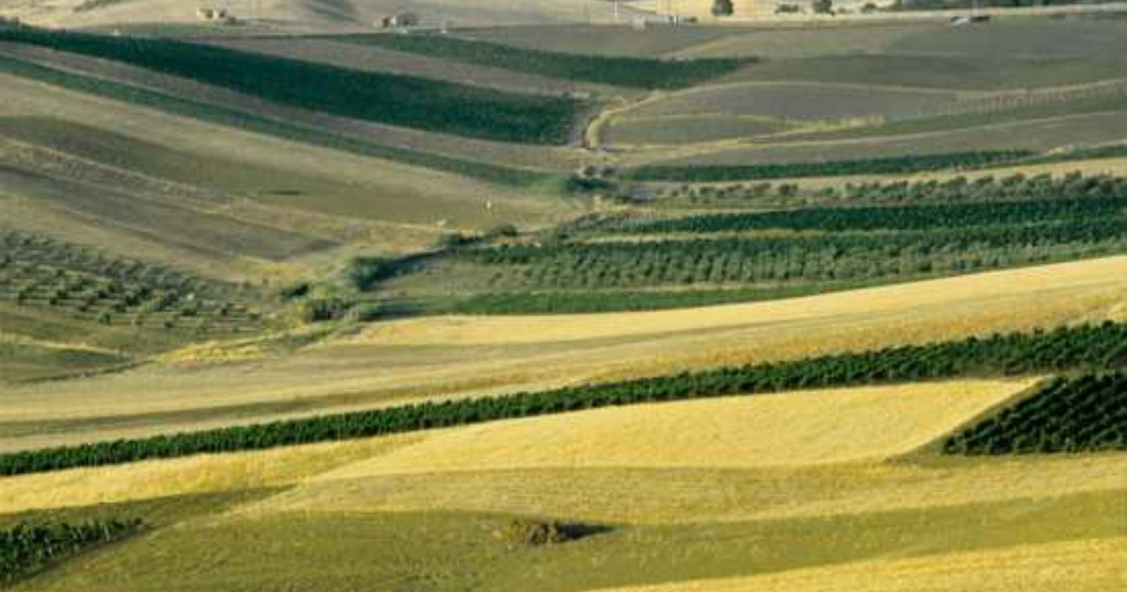 Storia e Archeologia globale dei paesaggi rurali, a Foggia l'on. Burletti Buitoni