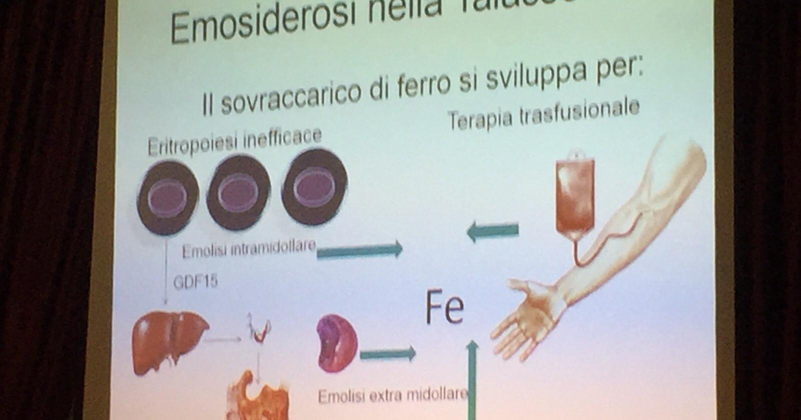 La terapia ferrochelante e la sua vitale importanza nei pazienti affetti da anemie croniche