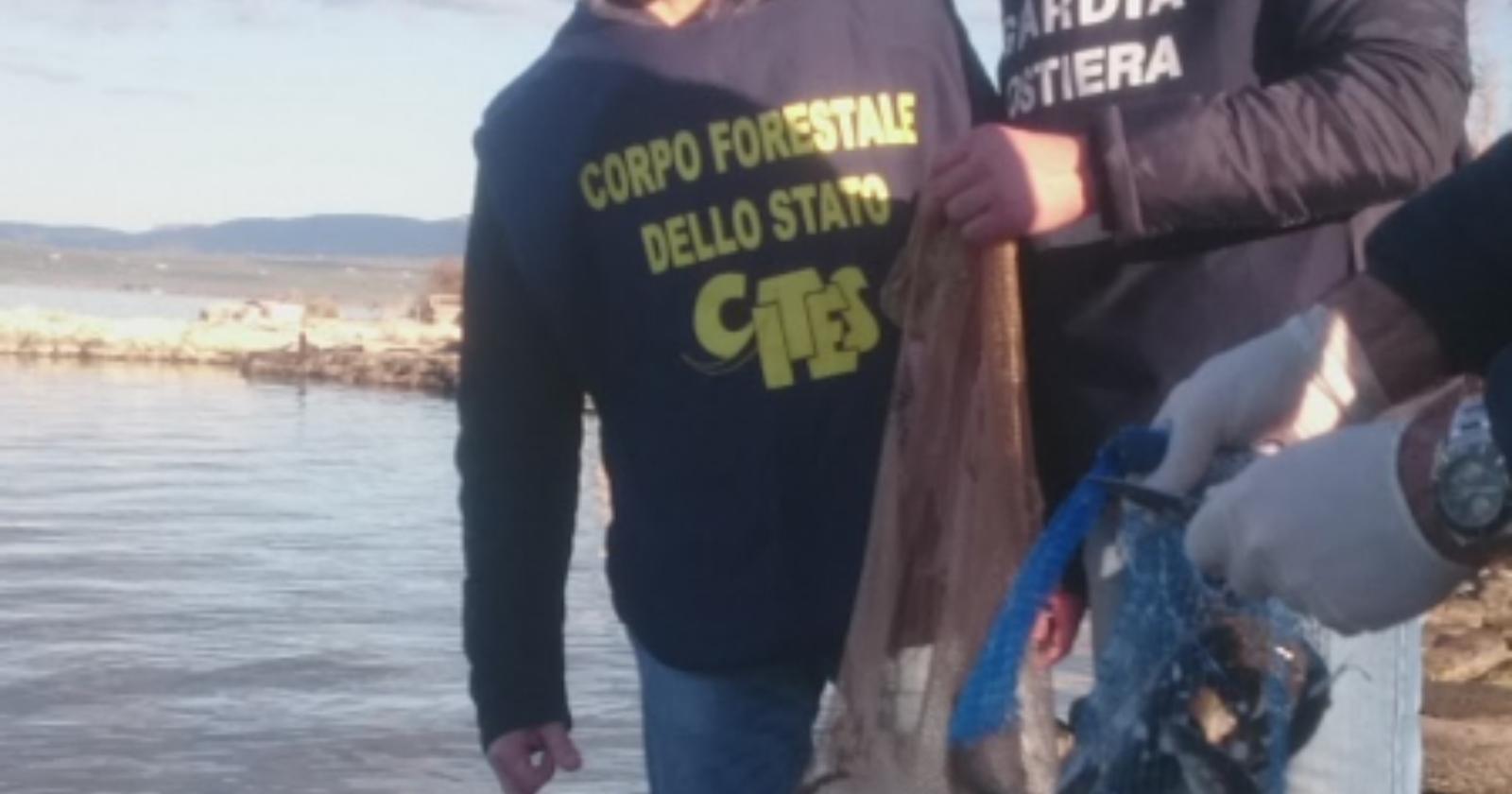 Blitz del Corpo Forestale: liberate anguille per 100 chili