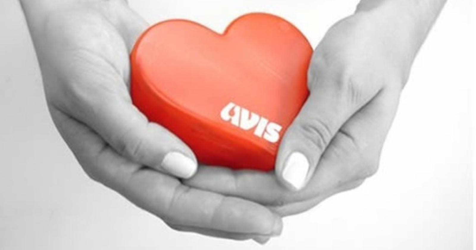 Basilicata, al via il Servizio Civile per 36 giovani lucani con l’Avis in 19 comuni