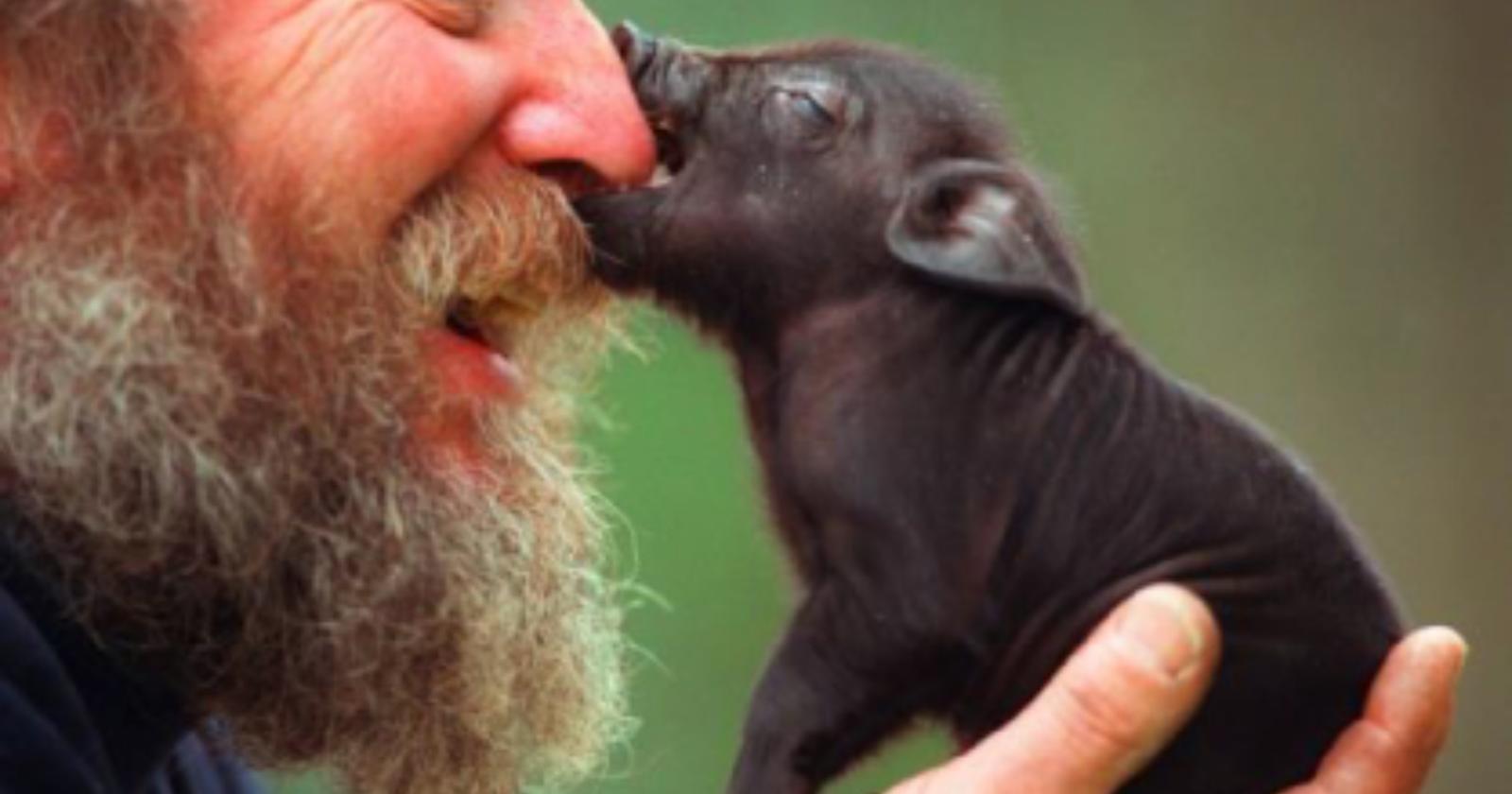 Tutte le direzioni dell'amore