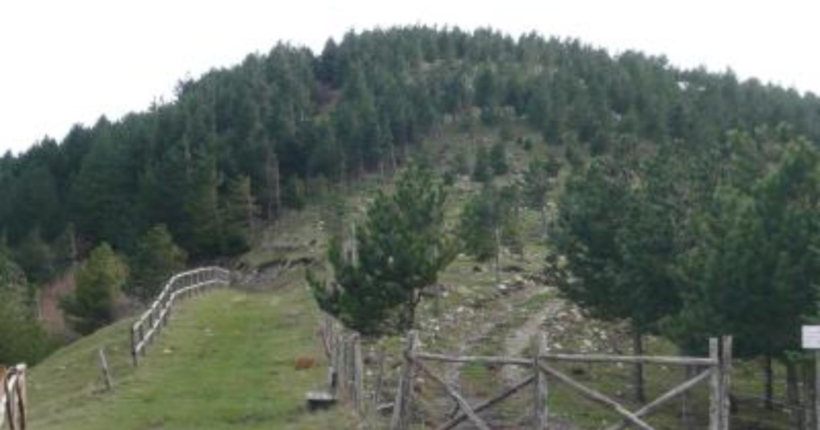Borghi autentici dei Monti Dauni, nasce un laboratorio